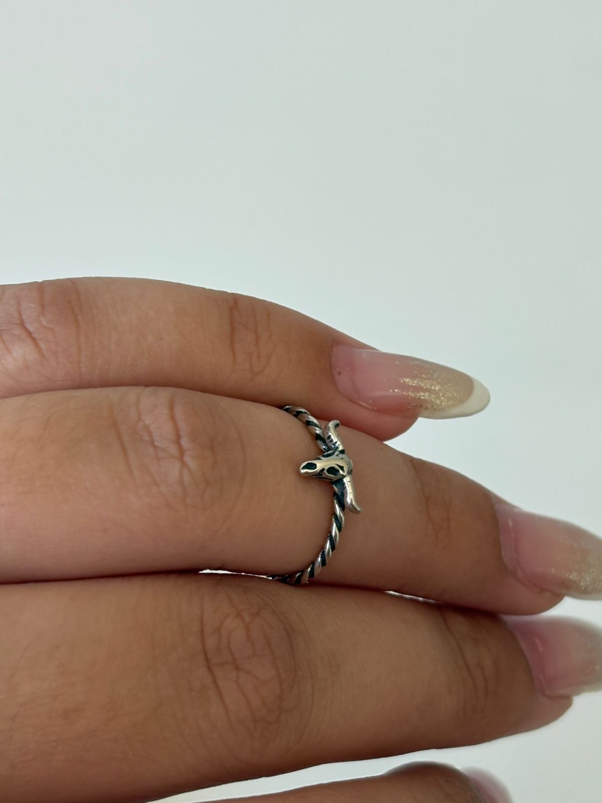 Falange Carcaça de Boi